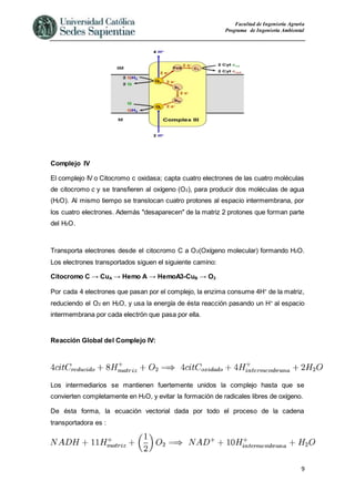 Facultad de Ingeniería Agraria
Programa de Ingeniería Ambiental
9
Complejo IV
El complejo IV o Citocromo c oxidasa; capta cuatro electrones de las cuatro moléculas
de citocromo c y se transfieren al oxígeno (O2), para producir dos moléculas de agua
(H2O). Al mismo tiempo se translocan cuatro protones al espacio intermembrana, por
los cuatro electrones. Además "desaparecen" de la matriz 2 protones que forman parte
del H2O.
Transporta electrones desde el citocromo C a O2(Oxígeno molecular) formando H2O.
Los electrones transportados siguen el siguiente camino:
Citocromo C → CuA → Hemo A → HemoA3-CuB → O2
Por cada 4 electrones que pasan por el complejo, la enzima consume 4H+
de la matriz,
reduciendo el O2 en H2O, y usa la energía de ésta reacción pasando un H+
al espacio
intermembrana por cada electrón que pasa por ella.
Reacción Global del Complejo IV:
Los intermediarios se mantienen fuertemente unidos la complejo hasta que se
convierten completamente en H2O, y evitar la formación de radicales libres de oxígeno.
De ésta forma, la ecuación vectorial dada por todo el proceso de la cadena
transportadora es :
 