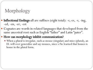 Morphology Inflectional Endings- all are suffixes (eight total): -s,-es, -s, -ing, -ed, -en, -er, -est Cognates are words in related languages that developed from the same ancestral root such as English “father” and Latin “pater”. How can morphology inhibit communication? When a plural is irregular, such as mouse (singular) and mice (plural), an EL will over generalize and say mouses, since s/he learned that houses is house in the plural form. 