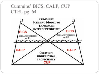 Cummins’ BICS, CALP, CUP CTEL pg. 64 L1 L2 BICS CALP CUP BICS CALP 