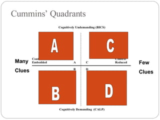 Cummins’ Quadrants A B C D Many Clues Few Clues 