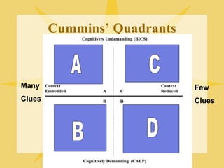 Cummins’ Quadrants A B C D Many Clues Few Clues 