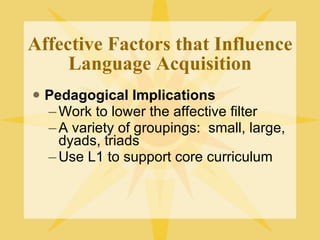 Affective Factors that Influence Language Acquisition Pedagogical Implications Work to lower the affective filter A variety of groupings:  small, large, dyads, triads Use L1 to support core curriculum 