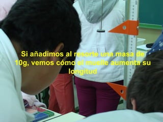Si añadimos al resorte una masa de 10g, vemos cómo el muelle aumenta su longitud 
