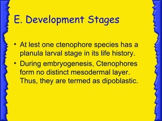 E. Development Stages

• At lest one ctenophore species has a
  planula larval stage in its life history.
• During embryogenesis, Ctenophores
  form no distinct mesodermal layer.
  Thus, they are termed as dipoblastic.
 