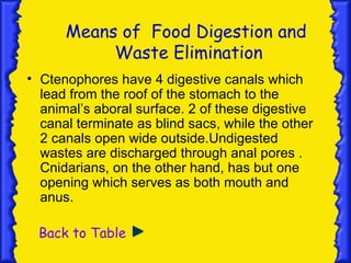 Means of Food Digestion and
           Waste Elimination
• Ctenophores have 4 digestive canals which
  lead from the roof of the stomach to the
  animal’s aboral surface. 2 of these digestive
  canal terminate as blind sacs, while the other
  2 canals open wide outside.Undigested
  wastes are discharged through anal pores .
  Cnidarians, on the other hand, has but one
  opening which serves as both mouth and
  anus.

 Back to Table
 