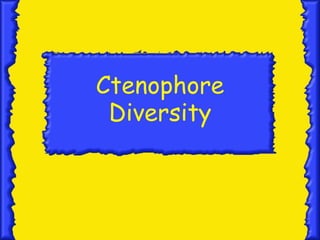 Ctenophore
 Diversity
 