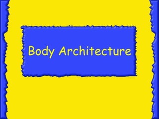 Body Architecture
 