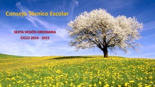 Consejo Técnico Escolar
SEXTA SESIÓN ORDINARIA
CICLO 2014 - 2015
 