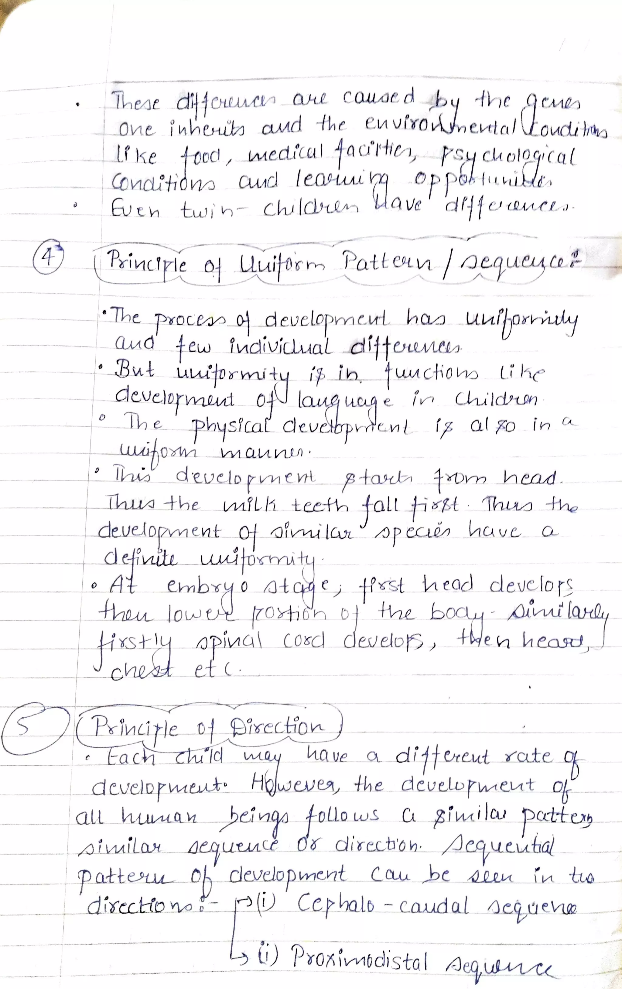 CTET Notes PRINCIPLE OF THE DEVELOPMENT OF CHILDREN(child development ...