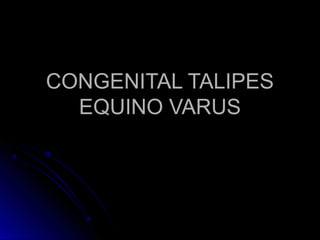 CONGENITAL TALIPES
  EQUINO VARUS
 