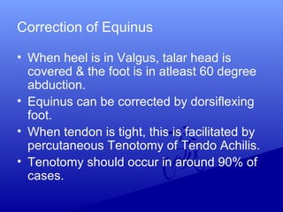 Correction of Equinus
• When heel is in Valgus, talar head is
covered & the foot is in atleast 60 degree
abduction.
• Equinus can be corrected by dorsiflexing
foot.
• When tendon is tight, this is facilitated by
percutaneous Tenotomy of Tendo Achilis.
• Tenotomy should occur in around 90% of
cases.
 