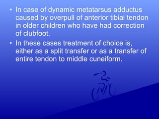 • In case of dynamic metatarsus adductus
caused by overpull of anterior tibial tendon
in older children who have had correction
of clubfoot.
• In these cases treatment of choice is,
either as a split transfer or as a transfer of
entire tendon to middle cuneiform.
 