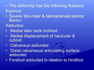 • The deformity has the following features:
Equinus:
• Severe tibio-talar & talocalcaneal plantar
flexion.
Adductus:
• Medial talar neck inclined
• Medial displacement of navicular &
cuboid
• Calcaneus adducted
• Distal calcaneous articulating surface
adducted
• Forefoot adducted in relation to hindfoot
 