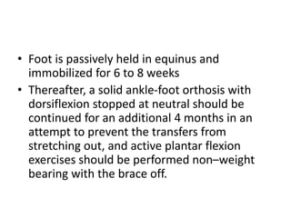 • Foot is passively held in equinus and
immobilized for 6 to 8 weeks
• Thereafter, a solid ankle-foot orthosis with
dorsiflexion stopped at neutral should be
continued for an additional 4 months in an
attempt to prevent the transfers from
stretching out, and active plantar flexion
exercises should be performed non–weight
bearing with the brace off.
 