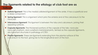 CTEV basics principle and ideas about managment.pptx