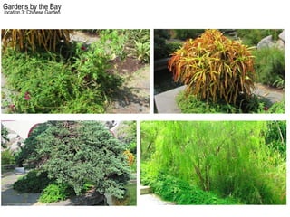 Gardens by the Bay
location 3: Chinese Garden
 