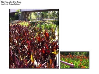 Gardens by the Bay
location 4: Dragonfly Lake
 