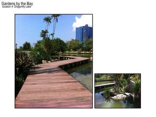 Gardens by the Bay
location 4: Dragonfly Lake
 