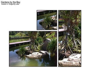 Gardens by the Bay
location 4: Dragonfly Lake
 