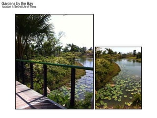 Gardens by the Bay
location 1: Secret Life of Trees
 