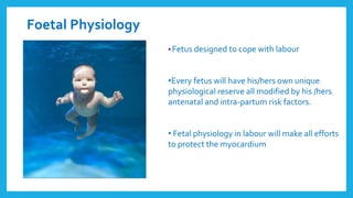 Foetal Physiology
• Fetus designed to cope with labour
•Every fetus will have his/hers own unique
physiological reserve all modified by his /hers
antenatal and intra-partum risk factors.
• Fetal physiology in labour will make all efforts
to protect the myocardium
 