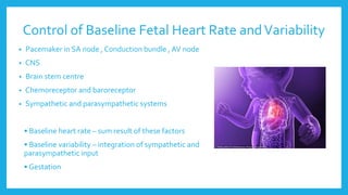Control of Baseline Fetal Heart Rate andVariability
• Pacemaker in SA node , Conduction bundle , AV node
• CNS
• Brain stem centre
• Chemoreceptor and baroreceptor
• Sympathetic and parasympathetic systems
• Baseline heart rate – sum result of these factors
• Baseline variability – integration of sympathetic and
parasympathetic input
• Gestation
 