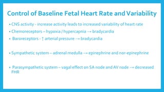 Control of Baseline Fetal Heart Rate andVariability
• CNS activity - increase activity leads to increased variability of heart rate
• Chemoreceptors – hypoxia / hypercapnia → bradycardia
• Baroreceptors - ↑ arterial pressure → bradycardia
• Sympathetic system – adrenal medulla → epinephrine and nor-epinephrine
• Parasympathetic system – vagal effect on SA node and AV node → decreased
FHR
 