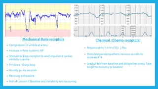 Chemical (Chemo-receptors)
• Responsive to ↑ in H+ CO2 ↓ Po2
• Stimulate parasympathetic nervous system to
decrease FH
• Gradual fall from baseline and delayed recovery.Take
longer to recovery to baseline
Mechanical Baro-receptors
• Compression of umbilical artery
• Increase in fetal systemic BP
• Stimulates Baro-receptor to send impulse to cardiac
inhibitory centre
• FH slows Sharp drop
• Usually 30 -60 seconds
• Recovery to baseline
• Not of concern if Baseline andVariability are reassuring.
 
