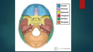 Ct Head Tutorial CT HEAD ANATOMY.pptx (NORMAL ANATOMY OF CT HEAD | PPTX