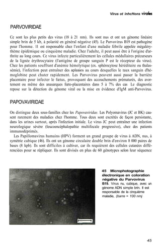 Cellules Kb Atlas de poche de Microbiologie | PDF