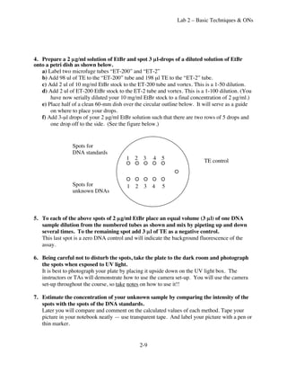 Lab 2 – Basic Techniques & ONs




4. Prepare a 2 µg/ml solution of EtBr and spot 3 µl-drops of a diluted solution of EtBr
onto a petri dish as shown below.
   a) Label two microfuge tubes “ET-200” and “ET-2”
   b) Add 98 ul of TE to the “ET-200” tube and 198 µl TE to the “ET-2” tube.
   c) Add 2 ul of 10 mg/ml EtBr stock to the ET-200 tube and vortex. This is a 1-50 dilution.
   d) Add 2 ul of ET-200 EtBr stock to the ET-2 tube and vortex. This is a 1-100 dilution. (You
       have now serially diluted your 10 mg/ml EtBr stock to a final concentration of 2 µg/ml.)
   e) Place half of a clean 60-mm dish over the circular outline below. It will serve as a guide
       on where to place your drops.
   f) Add 3-µl drops of your 2 µg/ml EtBr solution such that there are two rows of 5 drops and
       one drop off to the side. (See the figure below.)


                 Spots for
                 DNA standards
                                        1 2 3       4 5                    TE control



                 Spots for               1 2 3 4        5
                 unknown DNAs



5. To each of the above spots of 2 µg/ml EtBr place an equal volume (3 µl) of one DNA
   sample dilution from the numbered tubes as shown and mix by pipeting up and down
   several times. To the remaining spot add 3 µl of TE as a negative control.
   This last spot is a zero DNA control and will indicate the background fluorescence of the
   assay.

6. Being careful not to disturb the spots, take the plate to the dark room and photograph
   the spots when exposed to UV light.
   It is best to photograph your plate by placing it upside down on the UV light box. The
   instructors or TAs will demonstrate how to use the camera set-up. You will use the camera
   set-up throughout the course, so take notes on how to use it!!

7. Estimate the concentration of your unknown sample by comparing the intensity of the
   spots with the spots of the DNA standards.
   Later you will compare and comment on the calculated values of each method. Tape your
   picture in your notebook neatly — use transparent tape. And label your picture with a pen or
   thin marker.


                                              2-9
 