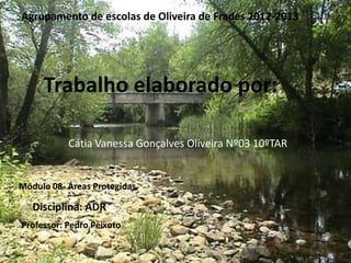 Trabalho elaborado por:
Cátia Vanessa Gonçalves Oliveira Nº03 10ºTAR
Disciplina: ADR
Módulo 08- Áreas Protegidas
Agrupamento de escolas de Oliveira de Frades 2012-2013
Professor: Pedro Peixoto
 