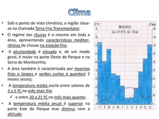 • Sob o ponto de vista climático, a região situa-
se na chamada Terra Fria Transmontana;
 O regime das chuvas é o mesmo em toda a
área, apresentando características mediter-
rânicas de chuvas na estação fria;
 A pluviosidade é elevada e, de um modo
geral, é maior na parte Oeste do Parque e na
Serra de Montesinho;
• A área também é caracterizada por invernos
frios e longos e verões curtos e quentes( 2
meses secos);
• A temperatura média oscila entre valores de
3 a 5 ºC no mês mais frio
 e entre 20 a 21 ºC no mês mais quente;
• A temperatura média anual é superior na
parte Este do Parque mas diminui com a
altitude.
 