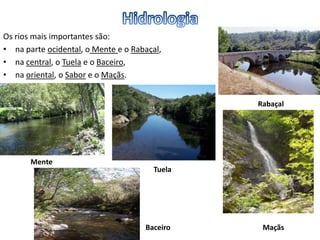Os rios mais importantes são:
• na parte ocidental, o Mente e o Rabaçal,
• na central, o Tuela e o Baceiro,
• na oriental, o Sabor e o Maçãs.
Mente
Rabaçal
Tuela
Baceiro Maçãs
 
