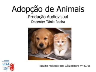 Adopção de Animais
    Produção Audiovisual
     Docente: Tânia Rocha




         Trabalho realizado por: Cátia Ribeiro nº:40711
 