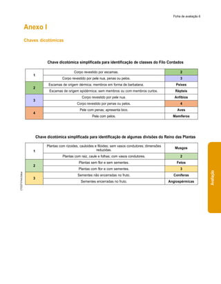 Ficha de avaliação 6
Anexo I
Chaves dicotómicas
Chave dicotómica simplificada para identificação de classes do Filo Cordad...