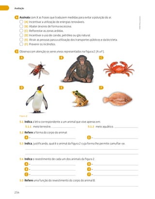 254
Avaliação
Assinala com X as frases que traduzem medidas para evitar a poluição do ar.
  (A)	Incentivar a utilização de energias renováveis.
  (B)	 Abater árvores de forma excessiva.
  (C)	 Reflorestar as zonas ardidas.
  (D)	Incentivar o uso de carvão, petróleo ou gás natural.
  (E)	 Atrair as pessoas para a utilização dos transportes públicos e da bicicleta.
  (F)	 Prevenir os incêndios.
Observa com atenção os seres vivos representados na figura 2 (A a F).
A B C
D E F
Figura 2
5.1	 Indica a letra correspondente a um animal que vive apenas em:
5.1.1	 meio terrestre. 5.1.2	 meio aquático.
5.2	 Refere a forma do corpo do animal:
A – D –
5.3	 Indica, justificando, qual é o animal da figura 2 cuja forma lhe permite camuflar-se.
5.4	 Indica o revestimento de cada um dos animais da figura 2.
A –
B –
C –
D –
E –
F –
5.5	 Refere uma função do revestimento do corpo do animal B.
4
5
CTIC5CP
©
Porto
Editora
CTIC5CP_20153094_P241_274_3PCImg.indd 254 19/02/16 13:01
 