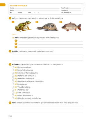 256
Avaliação
Na figura 1 estão representados três animais que se deslocam na água.
A B C
Figura 1
1.1	 Indica uma adaptação à natação para cada animal da figura 1.
A –
B –
C –
Justifica a afirmação: “O animal A está adaptado ao salto”.
Assinala com X as adaptações dos animais relativas à locomoção no ar.
  (A)	Ossos ocos e leves
  (B)	 Forma hidrodinâmica
  (C)	 Esterno em forma de quilha
  (D)	Membros em forma de Z
  (E)	 Membrana interdigital
  (F)	 Membranas reforçadas com quitina
  (G)	Penas de voo
  (H)	Várias barbatanas
  (I)	 Membrana alar
  (J)	 Patas com cascos
  (K)	 Forma aerodinâmica
  (L)	 Músculos peitorais muito fortes
Indica uma característica dos membros que permite ao cavalo ser mais veloz do que o urso.
Ficha de avaliação 4 
Escola: 	Classificação:
Nome: 	Professor(a):
N.º:   Turma:   Data: - - 	 Enc. de educação:
1
2
3
4
CTIC5CP
©
Porto
Editora
CTIC5CP_20153094_P241_274_3PCImg.indd 256 19/02/16 13:01
 