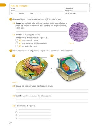 264
Avaliação
Observa a figura 1 que mostra uma observação ao microscópio.
1.1	 Calcula a ampliação total utilizada na observação, sabendo que o
poder de ampliação da ocular e da objetiva foi, respetivamente,
10 x e 15 x.
1.2	 Assinala com X a opção correta.
A observação microscópica da figura 1 é…
  (A)	uma célula de cebola.
  (B)	 uma porção de tecido da cebola.
  (C)	 um órgão da cebola.
Observa com atenção a figura 2 que representa a constituição de duas células.
A B
Ficha de avaliação 6 
Escola: 	Classificação:
Nome: 	Professor(a):
N.º:   Turma:   Data: - - 	 Enc. de educação:
1
Figura 1
2
1
2
3
3
2
1
4
Figura 2
2.1	 Explica por palavras tuas o significado de célula.
2.2	 Identifica, justificando, qual é a célula vegetal.
2.3	 Faz a legenda da figura 2.
1 –
2 –
3 –
4 –
CTIC5CP
©
Porto
Editora
CTIC5CP_20153094_P241_274_3PCImg.indd 264 19/02/16 13:01
 