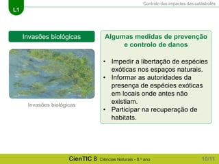 Controlo dos impactes das catástrofes
L1
CienTIC 8 Ciências Naturais - 8.o ano
Algumas medidas de prevenção
e controlo de danos
• Impedir a libertação de espécies
exóticas nos espaços naturais.
• Informar as autoridades da
presença de espécies exóticas
em locais onde antes não
existiam.
• Participar na recuperação de
habitats.
Invasões biológicas
Invasões biológicas
10/11
 
