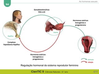 ctic9 N4 As hormonas sexuais.pptx