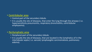 • Centrilobular area
• Central part of the secundary lobule.
• It is usually the site of diseases, that enter the lung through the airways ( i.e.
hypersensitivity pneumonitis, respiratory bronchiolitis, centrilobular
emphysema).
• Perilymphatic area
• Peripheral part of the secundary lobule.
• It is usually the site of diseases, that are located in the lymphatics of in the
interlobular septa ( i.e. sarcoid, lymphangitic carcinomatosis, pulmonary
edema).
 