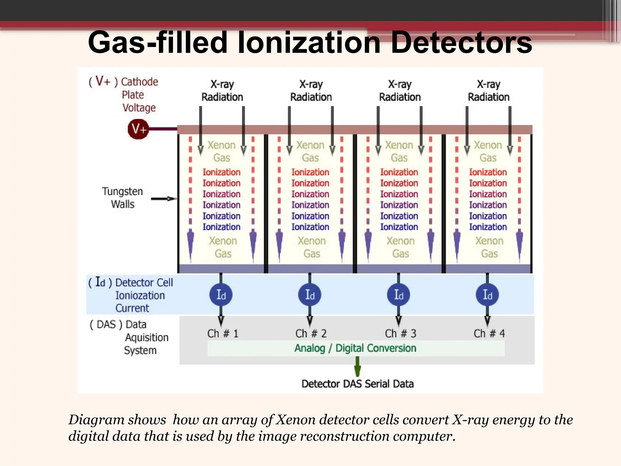 Gas-filled Ionization Detectors
Diagram shows how an array of Xenon detector cells convert X-ray energy to the
digital data that is used by the image reconstruction computer.
 
