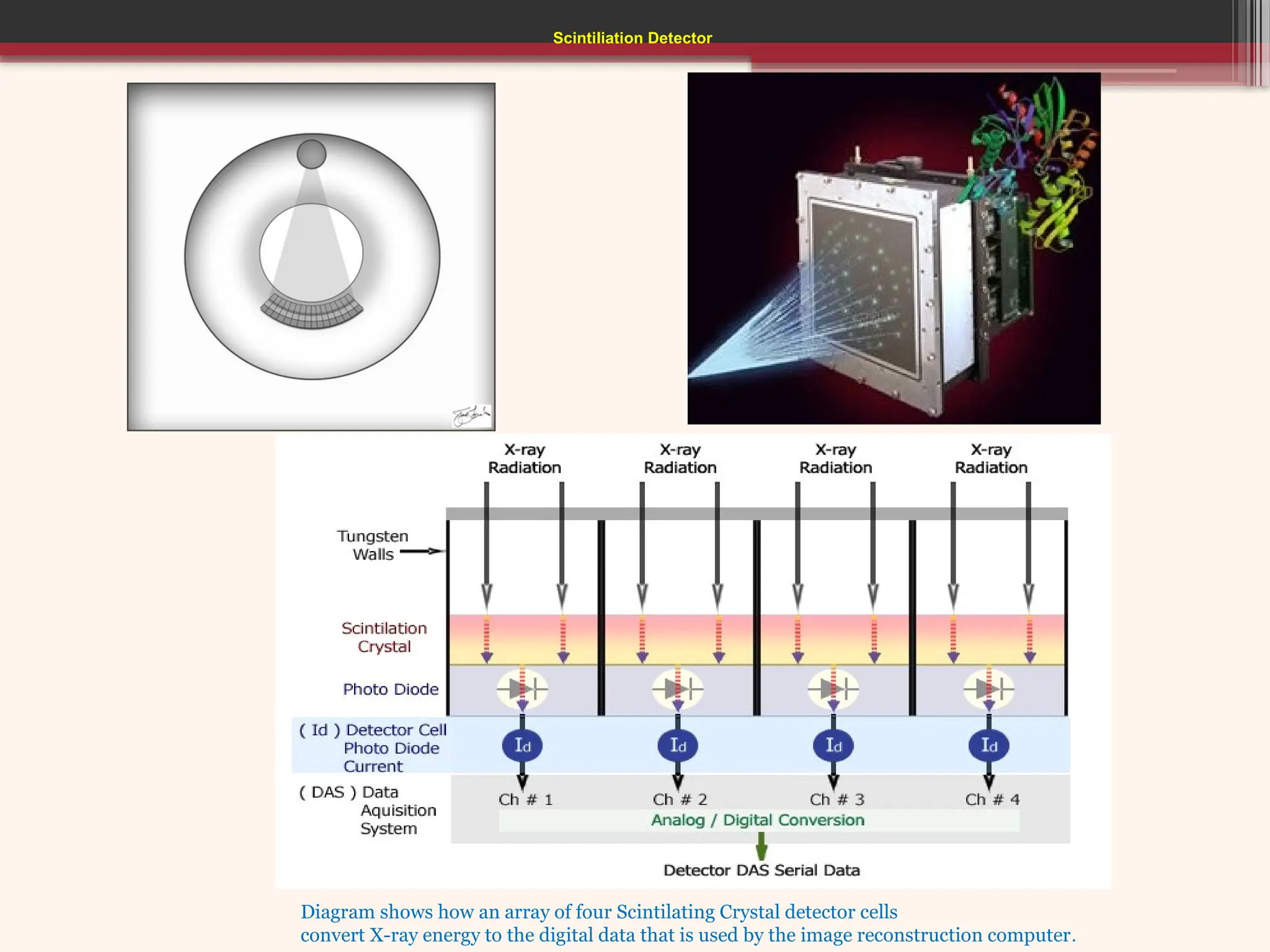 Scintiliation Detector
Diagram shows how an array of four Scintilating Crystal detector cells
convert X-ray energy to the digital data that is used by the image reconstruction computer.
 