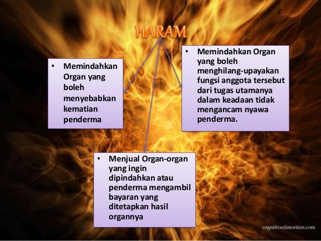 Pemindahan Organ menurut Islam slideshare