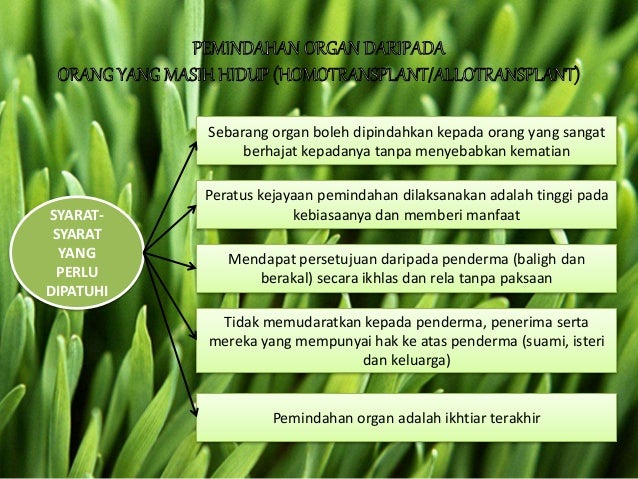 Pemindahan Organ Menurut Islam