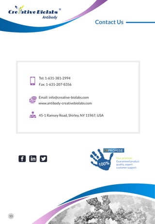 Tel: 1-631-381-2994
Fax: 1-631-207-8356
45-1 Ramsey Road, Shirley, NY 11967, USA
Email: info@creative-biolabs.com
www.antibody-creativebiolabs.com
Our promise:
Guaranteed product
quality, expert
customer support.
Contact Us
10
 