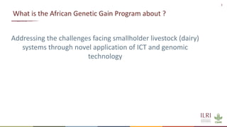 African Dairy Genetic Gains Project Overview