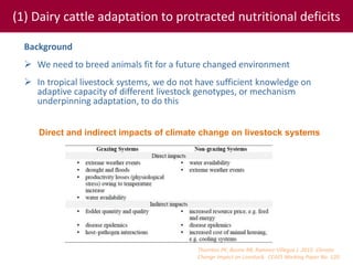 Tropical dairy genomics 