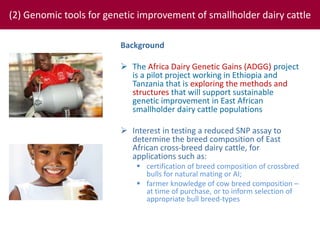 Tropical dairy genomics 